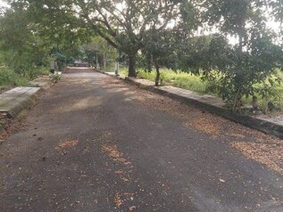 Bán nền biệt thự đào tông nguyên phú xuân  nhà bè  10 tỷ  200m2 2