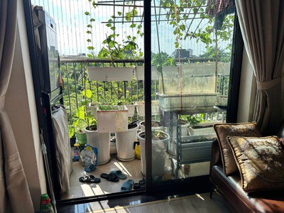 Bán căn hộ căn góc   k1 the k park văn phú, hà đông  view công viên 2