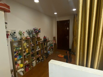 Pass căn hộ mini   phan huy ích, gò vấp, hồ chí minh 1