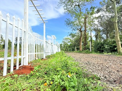 Bình yên village cư kuin - đắk lắk full thổ cư 150m2 bàn giao cổng hoa, đường điện giá chỉ từ 185tr 2