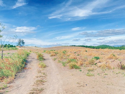 1,5 ha 15.000m2 full cafe vài tháng tuổi, ninh gia, lâm đồng 1