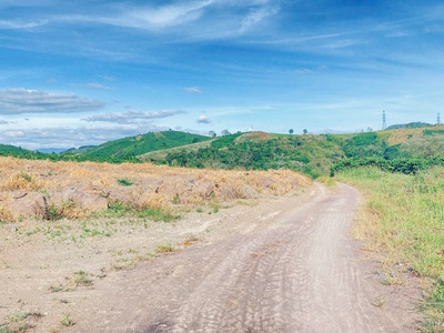 1,5 ha 15.000m2 full cafe vài tháng tuổi, ninh gia, lâm đồng 2