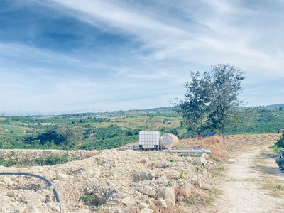 1,5 ha 15.000m2 full cafe vài tháng tuổi, ninh gia, lâm đồng 3