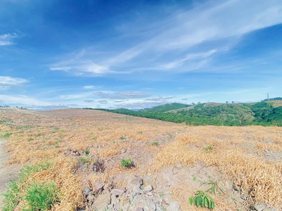 1,5 ha 15.000m2 full cafe vài tháng tuổi, ninh gia, lâm đồng 4