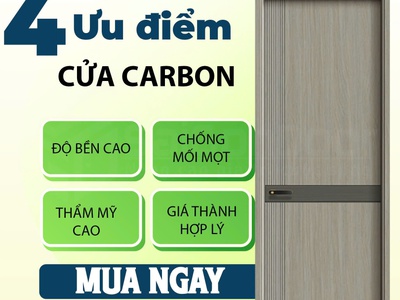 Cửa gỗ carbon   NHẸ MÀ CHẤT, ĐẸP LÀ MÊ 1