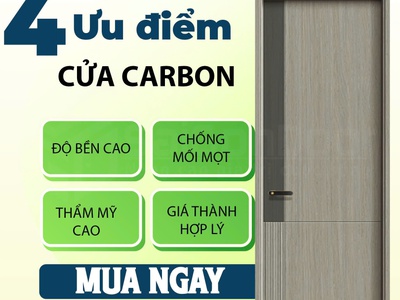 Cửa gỗ carbon   NHẸ MÀ CHẤT, ĐẸP LÀ MÊ 2