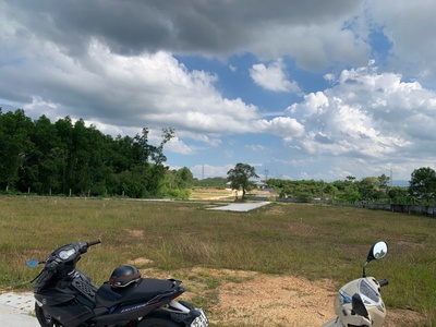 DA LE LAND   Chọn Một Nơi Ở, Giữ Một Tương Lai 1