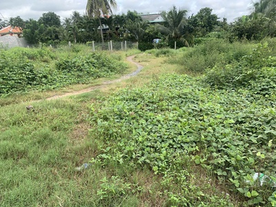 Chính chủ bán 229m2 đất tại đường đt. 818, xã nhị thành, huyện thủ thừa, long an 2