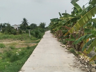 Chính chủ bán 229m2 đất tại đường đt. 818, xã nhị thành, huyện thủ thừa, long an 1