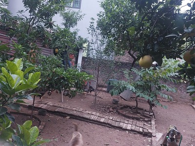 Cần bán gấp 120m2, mt12m, 8.16 tỷ đại mạch, đông anh thiên lộc , gần ô tô tránh, gần nhiều tiện 0