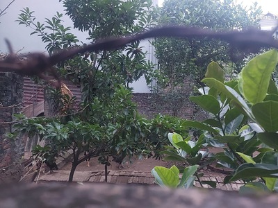 Cần bán gấp 120m2, mt12m, 8.16 tỷ đại mạch, đông anh thiên lộc , gần ô tô tránh, gần nhiều tiện 1