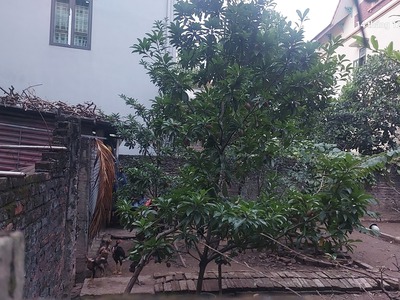 Cần bán gấp 120m2, mt12m, 8.16 tỷ đại mạch, đông anh thiên lộc , gần ô tô tránh, gần nhiều tiện 4