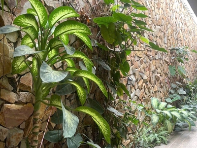 Ngộp giảm sốc 3.7 tỷ biệt thự vườn mặt tiền gò dưa tam bình thủ đức  230m  ngang 8m hiếm chỉ 16 tỷ 4