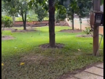 Nhà vườn 28x57 mặt tiền đt8-1 đông thạnh, hóc môn sát lê v khương 2