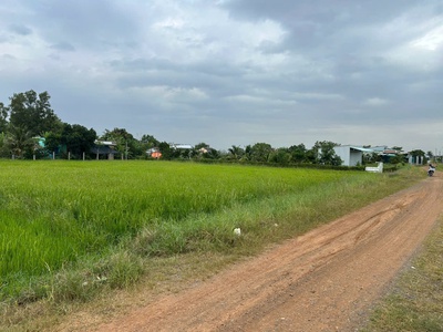 Cần bán gấp 2 lô đất nông nghiệp liền kề nhau. 2.296m2 tại long an. 4