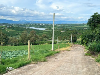 View hồ phúc thọ-lâm hà dt 1132m2 sẵn 100m2 thổ cư cách dt725 chỉ 2km kdc tiện ích xung quanh chưa 0