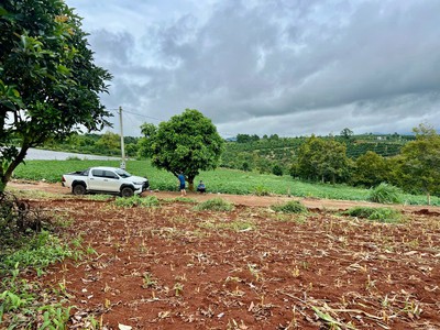 View hồ phúc thọ-lâm hà dt 1132m2 sẵn 100m2 thổ cư cách dt725 chỉ 2km kdc tiện ích xung quanh chưa 3