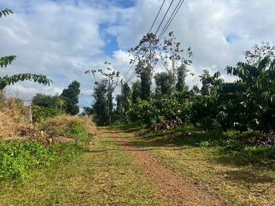Ea kiết- cư mgar dt 450m2 sẵn thổ cư đường oto tới đất đất full cà phê xen sầu riêng cho thu giá 0