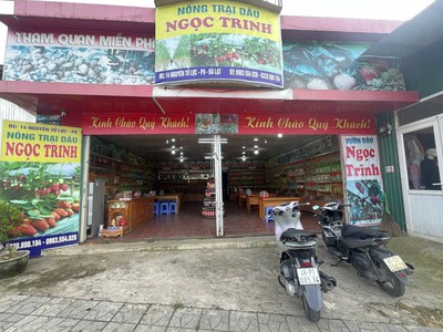 Cần sang quán vị trí siêu đẹp để kinh doanh tại 14 nguyên tử lực, phường 8 đà lạt, lâm đồng 0