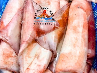 Mực Lá Đại Dương Khổng Lồ, Hải Sản Cao Cấp Được Ưa Chuộng 0