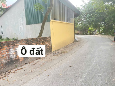 Bán đất xóm Gẩy, Định Trung, Vĩnh yên, Vĩnh Phúc. DT 110m2 giá chỉ 2.35 tỷ 0