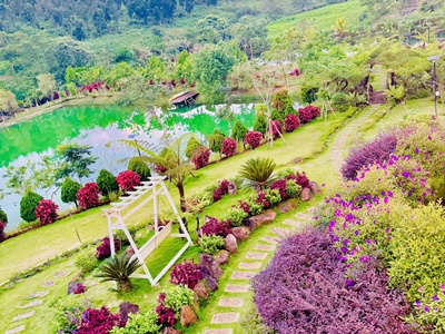 Chốt Nhanh Đất Bảo Lộc Nhận Được Nhiều Khuyến Mãi Giá Từ 1 Tỷ 2 1