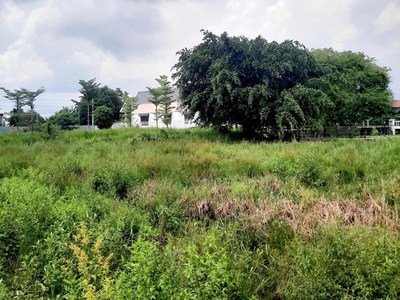  Chính Chủ Bán Gấp Lô Đất Đẹp Bến Lức   Gần Ql1a   Giá Tốt Chốt Nhanh 5