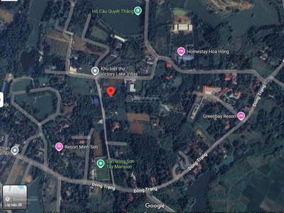 Cắt lỗ gấp: chính chủ cần bán gấp lô đường hàng cau đồng trạng giá ngã cây liên hệ 0931xx 1