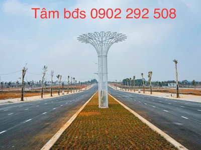 Nhận đặt chỗ khu đô thị sao mai residence thọ xuân, thanh hoá - vị trí đắc địa - hạ tầng đẹp 2