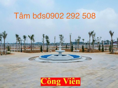 Nhận đặt chỗ khu đô thị sao mai residence thọ xuân, thanh hoá - vị trí đắc địa - hạ tầng đẹp 3