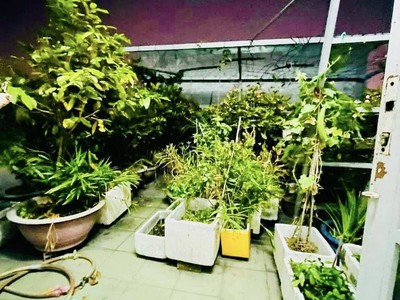 Vài bước celadon city   hxh tránh thông   ngang 5   90m - 3 tầng chỉ 10.x 4