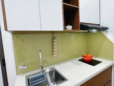 Căn hộ dịch vụ - thang máy,  full đồ khép kín- đang cho thuê. mỹ đình - ô tô cách 30m 35m2 3