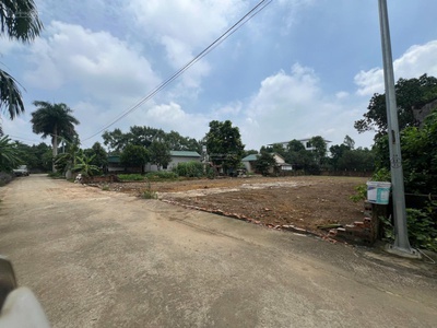 Cắt lỗ gấp: chính chủ cần bán gấp lô đường hàng cau đồng trạng giá ngã cây liên hệ 0931xx 3