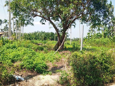 Chủ kẹt tiền cần bán lô đất tại mt đường dx 017 có 1000 m đất ở., cẩm thanh giá 18 tỷ 3