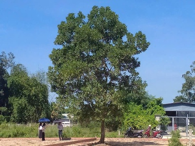 Lô hơn 200m2 tại duy hoà 1