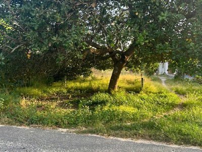 Bán 10m x 70m đất odt mặt tiền cù chính lan - lagi giá ngộp 1.6 tỷ sổ riêng 3