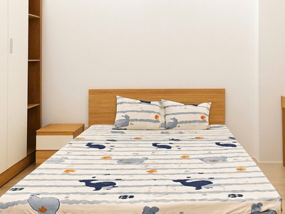 Chung cư huỳnh văn chính - quận tân phú - 4 x 11 m - 2.6 tỷ 2