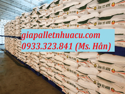 Giảm Giá Kịch Sàn Pallet Nhựa Kê Phân Bón Chỉ Từ 1xx.000 Vnđ 6