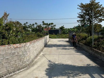 Bán đất tại ngõ 136 Tư Thủy, Hòa Nghĩa, Dương Kinh, DT 812m2 1