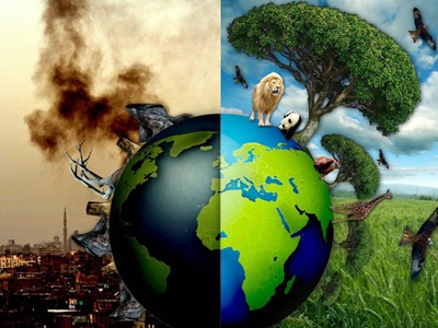 Công ty chuyên cung cấp dịch vụ thiết kế và thi công xử lý nước thải chất lượng 0