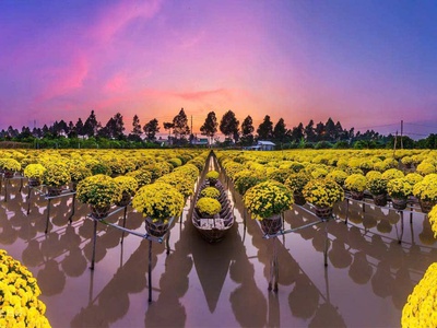 Tour Làng Hoa Sa Đéc 1 Ngày - Tết Dương Lịch - SGC 5