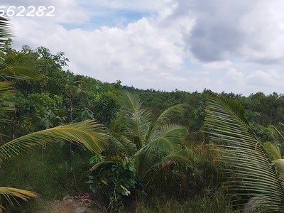 Bán đất vườn cây ăn trái 4.4ha lai vung, đồng tháp - hòa long - hộ bà nương. sổ hồng. 0