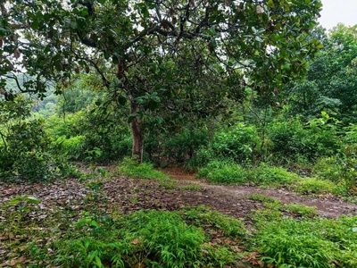 Hot   hot   hot   siêu phẩm suối view hồ trị an tuyệt đẹp 4