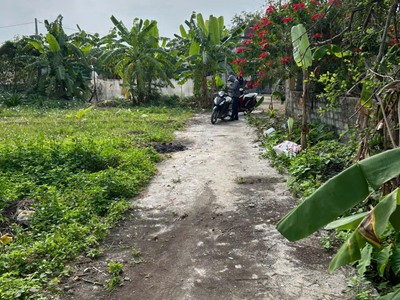 Đất vũ vị   minh tân   kiến thụy  66m   ngõ ô tô  giá 7xx triệu   hiếm quỹ đất sát trung tâm xã 4