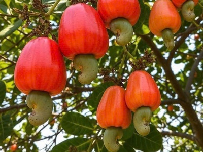 Hot   hot   hot   siêu phẩm suối view hồ trị an tuyệt đẹp 2