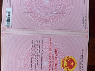 Bán đất trồng cây cao xu 0