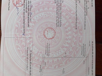 Bán đất trồng cây cao xu 1