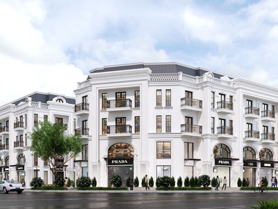 Đào Tấn Diamond - Cơ hội đầu tư lớn cuối năm 2025 0