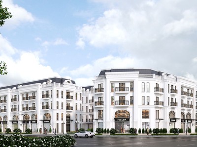 Đào Tấn Diamond - Cơ hội đầu tư lớn cuối năm 2025 1