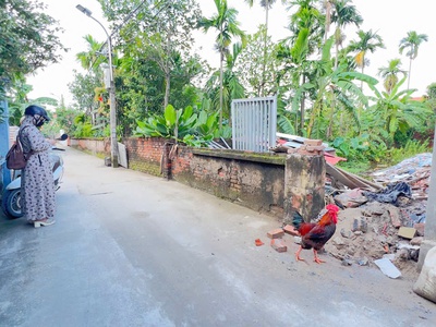 Bán gấp 116m  đất hồng hà   đan phượng   ô tô vào tận nơi, gần cầu hồng hà   vành đai 4 2